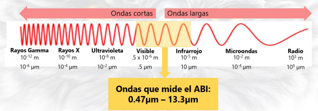 Imagen 2